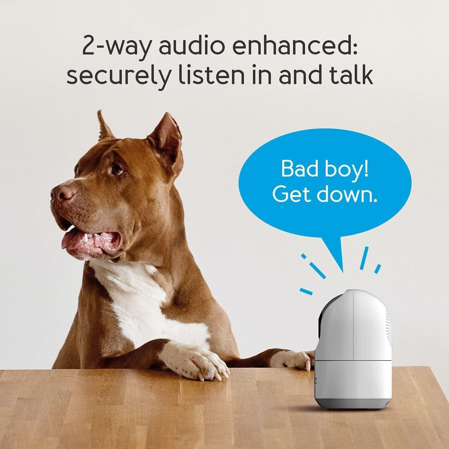Aeotec Cam 360 Works with SmartThings - evergreenly